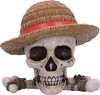 One Piece Luffy Jolly Roger Box