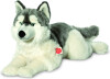 Teddy Hermann - Liggende Husky 60 Cm
