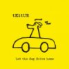 Teitur - Let The Dog Drive Home