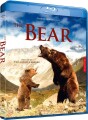 The Bear - 