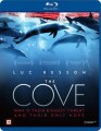 The Cove - 