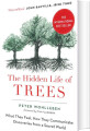 The Hidden Life Of Trees What They Feel How They Communicate