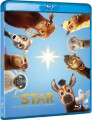 The Star - 