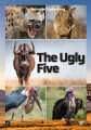 The Ugly Five