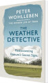 The Weather Detective Rediscovering Nature S Secret Signs