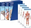 Thieme Atlas Of Anatomy