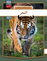 Tiger - Arabisk