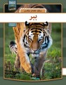 Tiger - Farsi