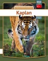 Tiger - Tyrkisk