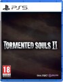 Tormented Souls Ii