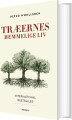 Træernes Hemmelige Liv