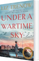 Under A Wartime Sky