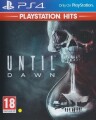Until Dawn