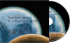 Roger Taylor - Violence Insane In A Beautiful World