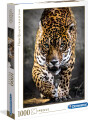 Clementoni Puslespil - Jaguar - High Quality Collection - 1000 Brikker