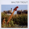 Walter Trout - Common Ground - 
