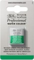 Winsor Newton - Akvarelfarve 12 Pan - Winsor Green Yellow Shade