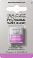 Winsor Newton - Akvarelfarve 12 Pan - Cobalt Violet