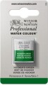 Winsor Newton - Akvarelfarve 12 Pan - Hookers Green