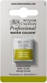 Winsor Newton - Akvarelfarve 12 Pan - Olive Green