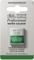 Winsor Newton - Akvarelfarve 12 Pan - Oxide Of Chromium