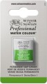 Winsor Newton - Akvarelfarve 12 Pan - Permanent Sap Green