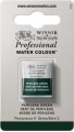 Winsor Newton - Akvarelfarve 12 Blok - Perylene Green