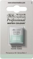 Winsor Newton - Akvarelfarve 12 Pan - Terre Verte