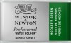 Winsor Newton - Akvarelfarve Pan - Hookers Green