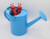 Watering Can Tool Set