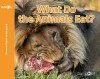 What Do The Animals Eat