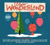 Winter Wonderland