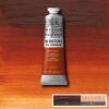 Winsor Newton - Winton Oil Colour 37 Ml - Burnt Sienna 074