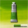 Winsor Newton - Winton Oil Colour 37 Ml - Chrome Green Hue 145