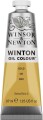 Winsor Newton - Winton Oil Colour - Gold - 37 Ml