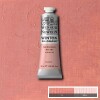 Winsor Newton - Winton Oil Colour 37 Ml - Pale Rose Blush 257