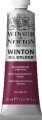 Winsor Newton - Winton Oil Colour 37 Ml - Quinacridone Deep Pink 250
