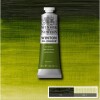 Winsor Newton - Winton Oil Colour 37 Ml - Sap Green 599