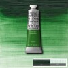 Winsor Newton - Winton Oil Colour 37 Ml - Terre Verte 637