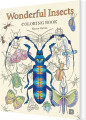 Wonderful Insects Coloring Book