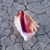 The Killers - Wonderful Wonderful - Deluxe Edition