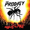 Th Prodigy - World S On Fire - Live At Milton Keys Bowl - 