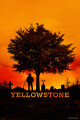Yellowstone - Boks