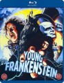 Frankenstein Junior Young Frankenstein - 