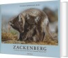 Zackenberg - 