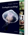 Zoologisk Morfologi - 