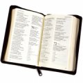bibelen, rejsebibel med lynlåslukning - bog