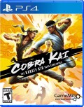 Cobra Kai Karate Kid Saga Continues Import
