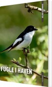danmarks natur fugle i haven - bog