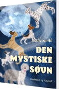 Den Mystiske Søvn